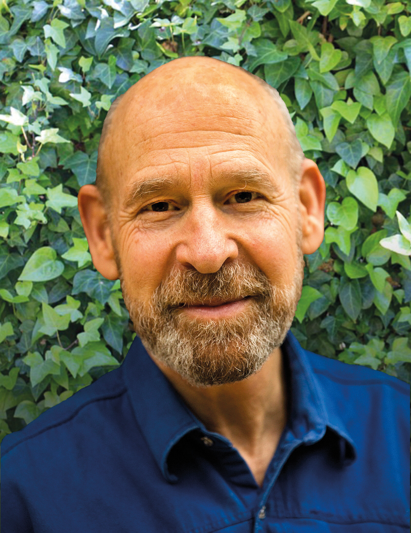 William Bloom PhD